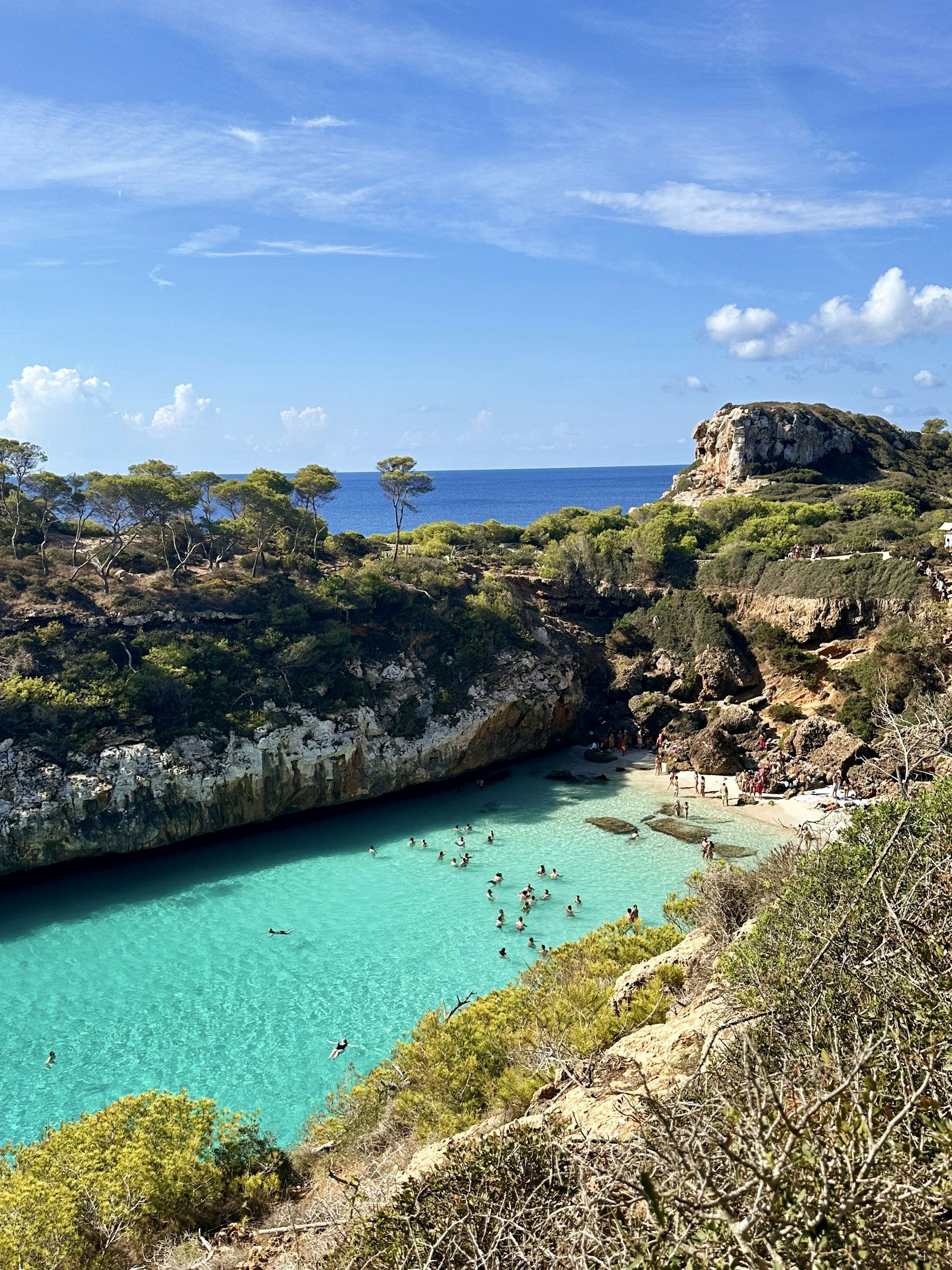 Türkise Lagune mit Pinien — typische Cala